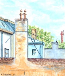 Blick aus dem Fenster (1951)