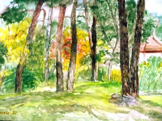 Unser Grundstück (1980)