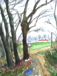 Rangsdorfer Studie (1981)