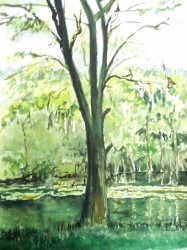 Im Gamengrund (1975)