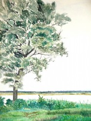 Auf Hiddensee I (1970)