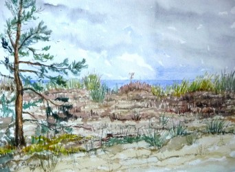 Dünen an der Ostsee (1979)