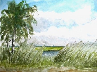 Windbewegtes Schilf (1996)