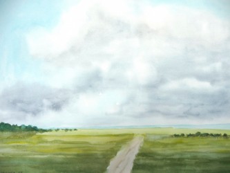 Boddenlandschaft bei Ahrenshoop (2008)