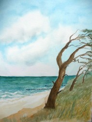 Windflüchter an der See (2010)