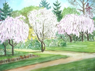 Blühende Bäume im Kurpark Franzensbad (Tschechien) (2009)